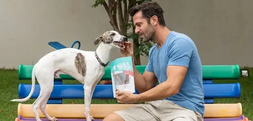 Mordedor natural para cachorro: alternativa saudável para os que amam roer