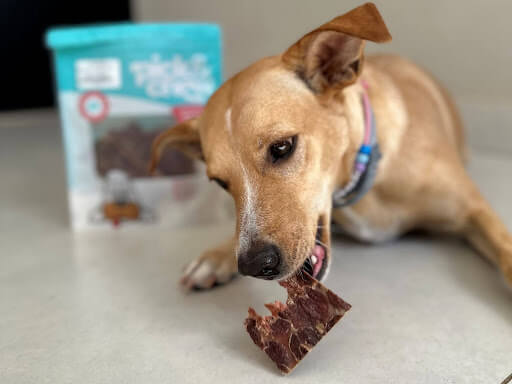 Como escolher um petisco saudável para cachorro?